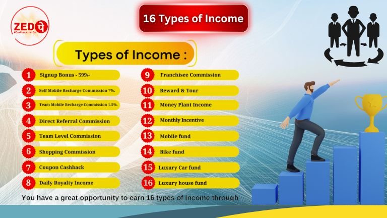 zedpay app income types